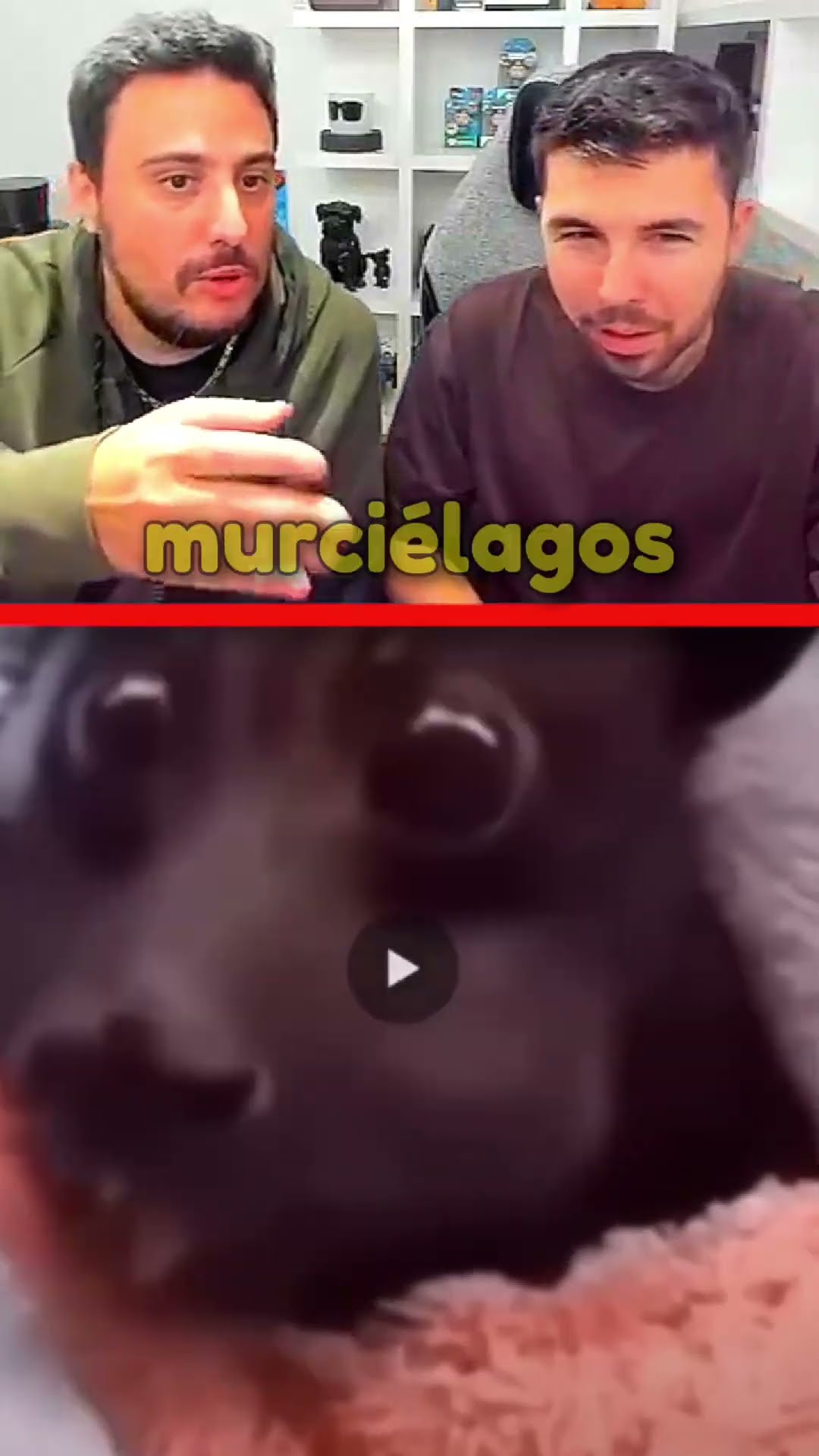 SI TE RIES PIERDES! ?