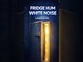 Deep Refrigerator Hum for Instant Sleep 😴 Old Fridge White Noise | 8H Loop Ambience