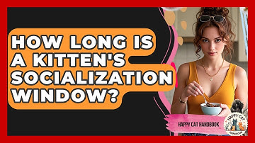 How Long Is A Kitten