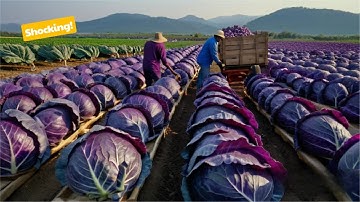 Modern Agriculture Machines That Are At Another Level 2