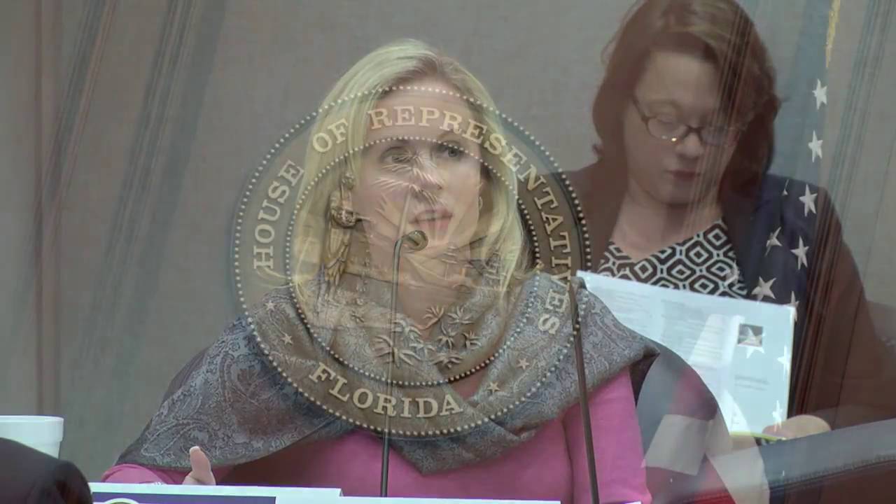 Representative Katie Edwards 2016 Session Highlights YouTube