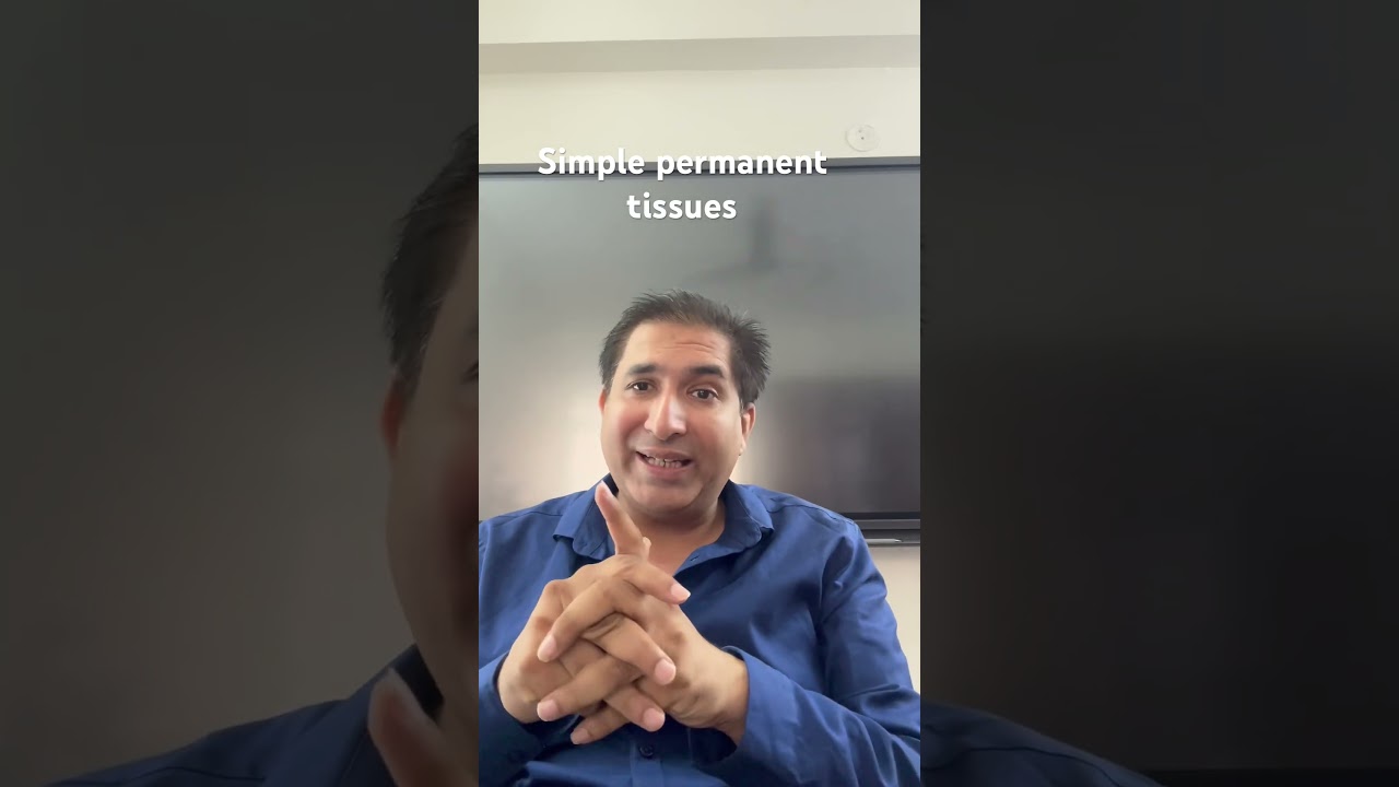 Simple permanent tissues