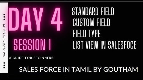 Salesforce Admin Training Day 4