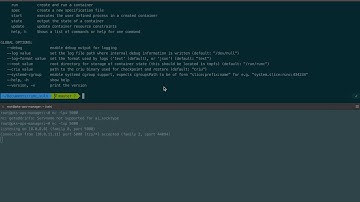 CVE-2019-5736 on PKS 1.3.1