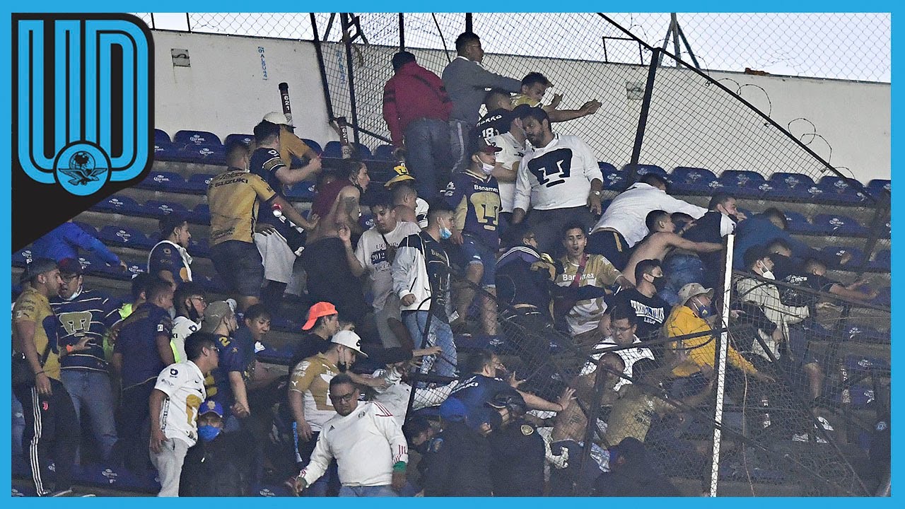 Afición de Pumas y América protagonizan pelea en las gradas del estadio ...
