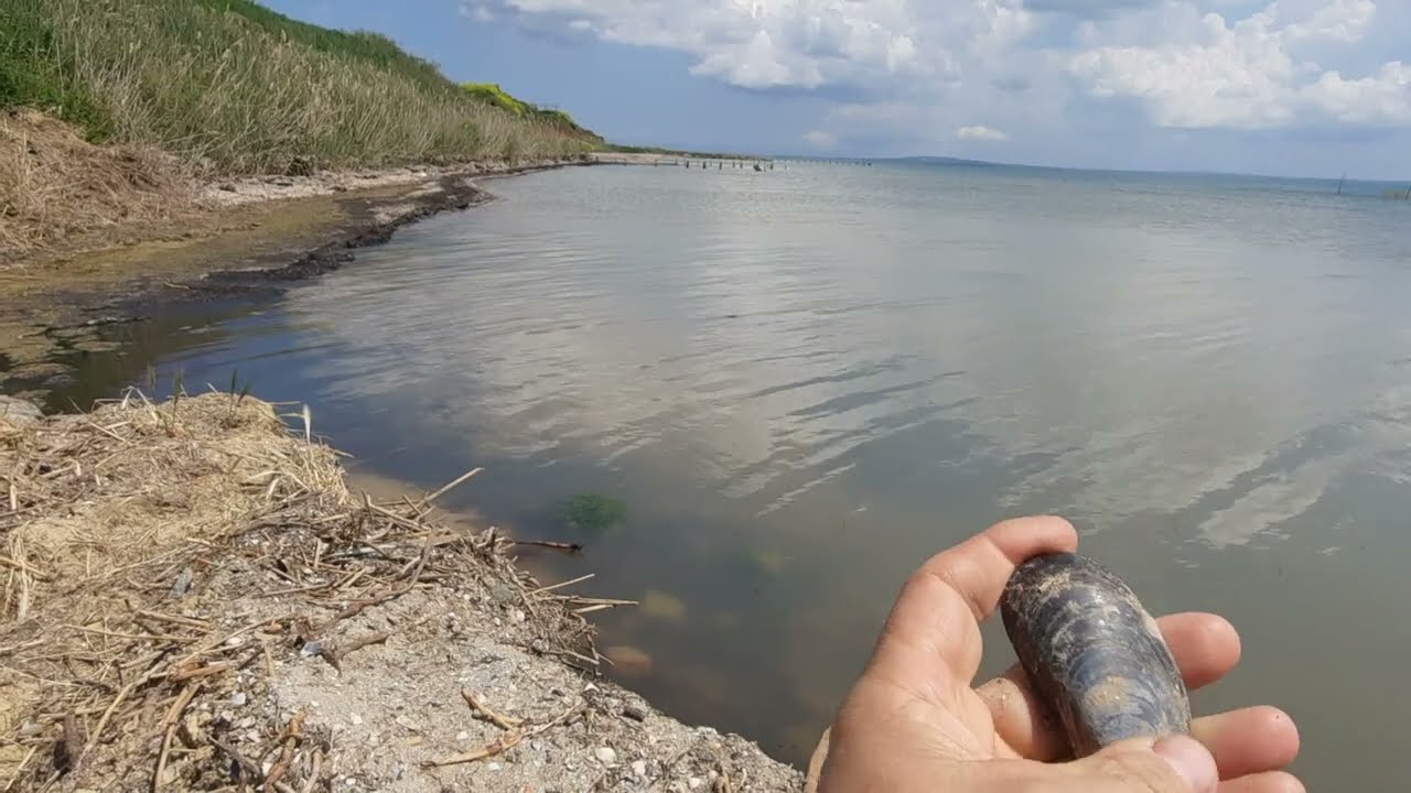 Май 2022 г. Поселок Гаркуша/ Рай на земле/ Таманский залив/ Дорога к маяку на косе Чушка/