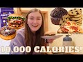10,000 Calorie Challenge! Girl VS Food!