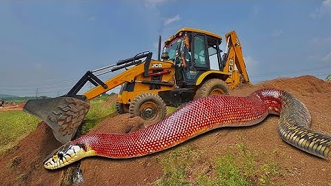JCB 3dx Backhoe Loading Mud in Mahindra 475 JCB miti khudai work JCB loading mud #jcb #jcbvideo
