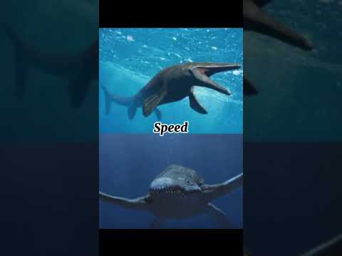 Mosasaurus Hoffmanni Vs Pliosaurus Funkei 