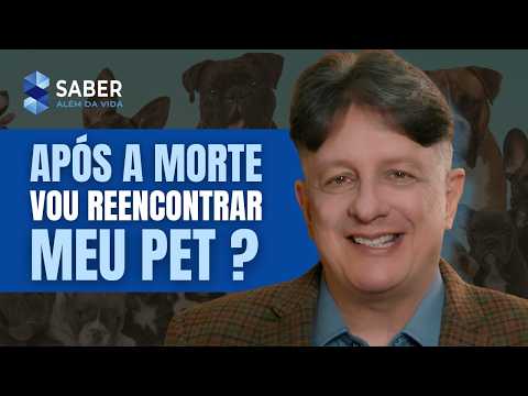 Vou encontrar meu animal de estimação após a morte?