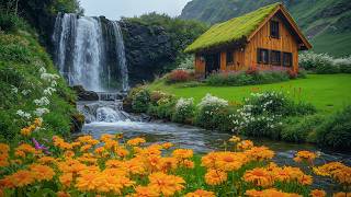 Beautiful Calming Music 🌿 Relaxing Music for Anxiety Relief & Deep Sleep screenshot 4