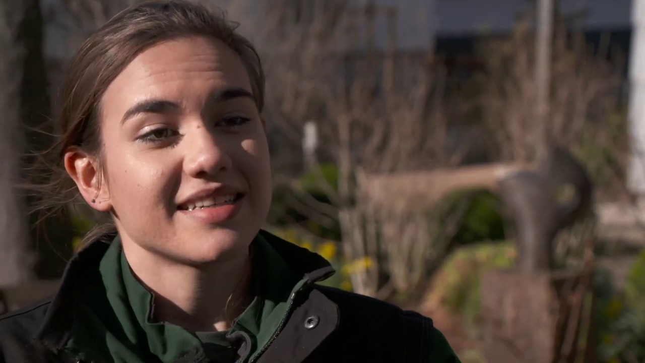 Ein Tag als Praktikantin im Garten- und Landschaftsbau