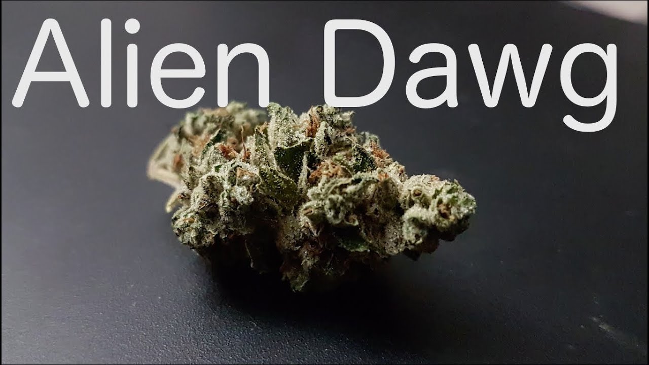 SQDC - Alien Dawg / Dubon