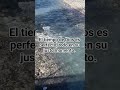 16 de abril de 2026