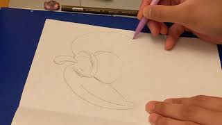 Pokémon - Steenee Speed Art