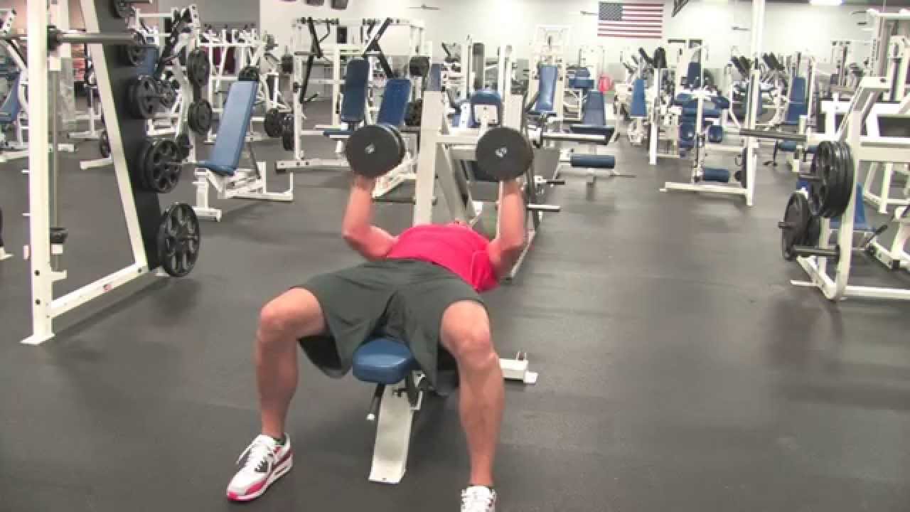 Db Cg Bench Press Youtube Db Cg Bench Press Youtube