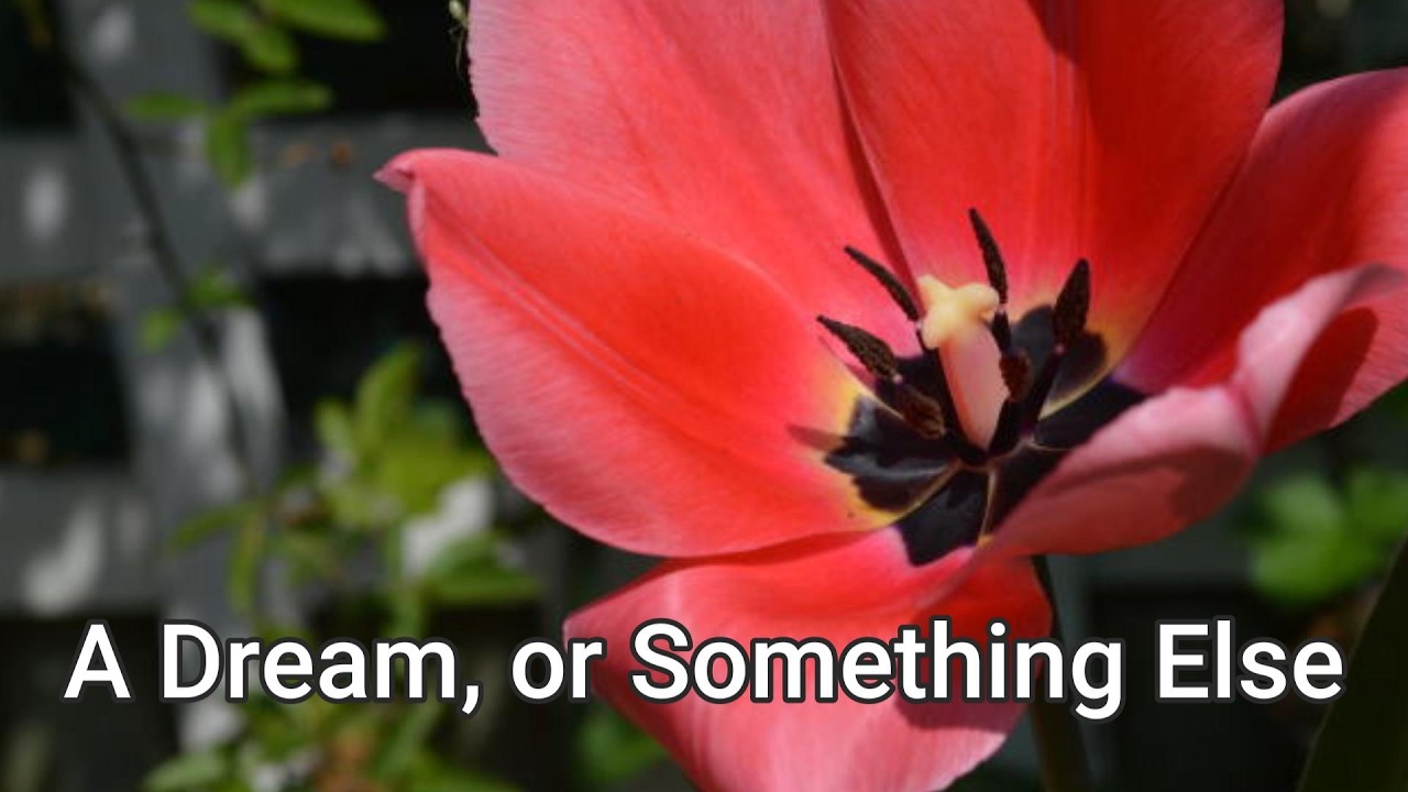 A Dream, or Something Else | Probably Overthinking Lou