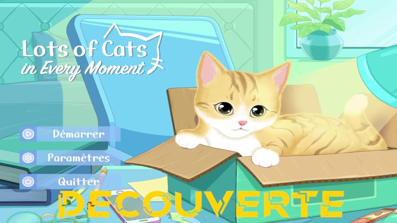 DECOUVERTE - Lots Of Cats in Every Moment 