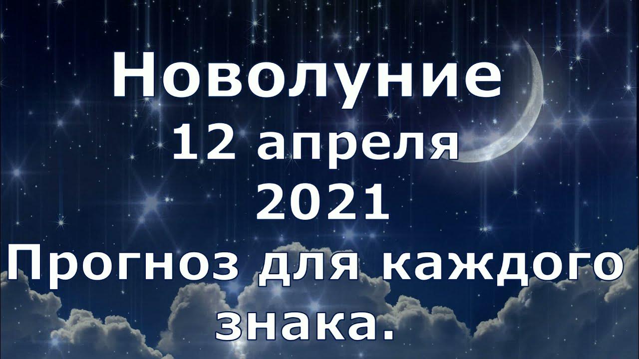 Новолуние 12