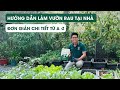 Tập 98 - HƯỚNG DẪN LÀM VƯỜN RAU SẠCH TẠI NHÀ, ĐƠN GIẢN CHI TIẾT TỪ A-Z