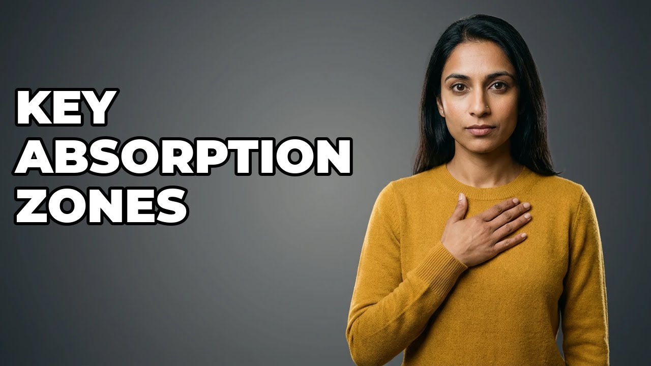 Which Parts Of The Gut Absorb Electrolytes?