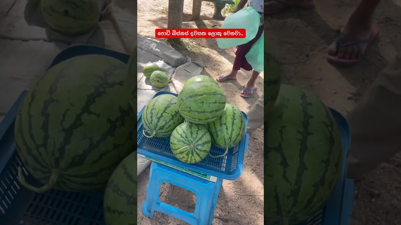 මම මිලට ගන්නෙ පොඩ්ඩන්ගෙන්...ඔබ?😍