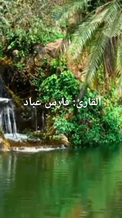 تلاوة خاشعة للشيخ فارس عباد