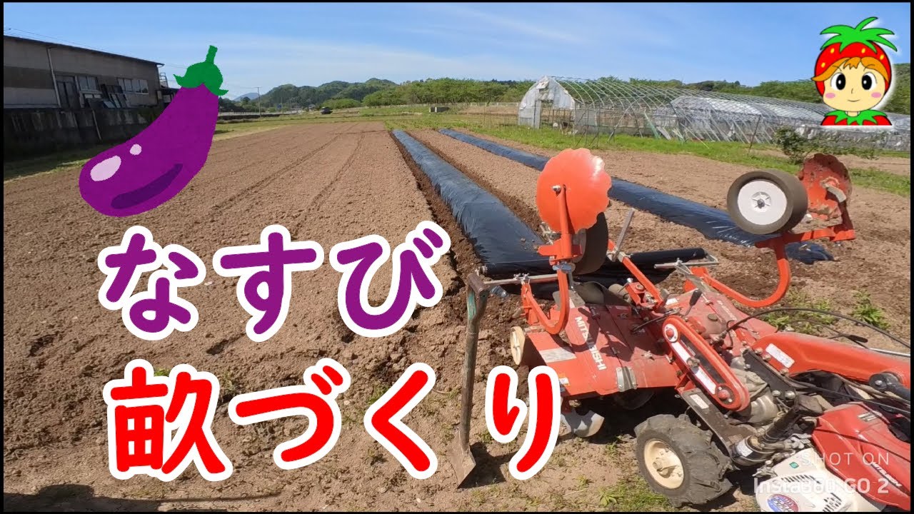 【中古】 ナス栽培の基礎と実際 ナス栽培の基礎と実際 中古本・書籍 | ブックオフ公式オンラインストア