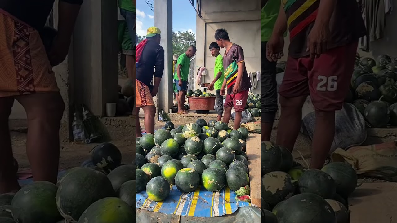 A day in my life bilang tindera ng hito at pakwan