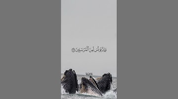 وَإِنَّ يونُسَ لَمِنَ المُرسَلينَ۝  ما تيسر من سورة الصافات بصوت القارئ خالد الجليل