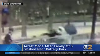 Arrest Made After Family Of 3 Slashed Near Battery Park