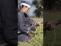 Samurai Shooting Practice #samurai #japan