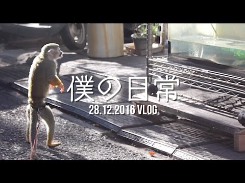 僕の日常 - 新しいセーターとKOHEYと竜兄 - 僕の日常 - 新しいセーターとKOHEYと竜兄