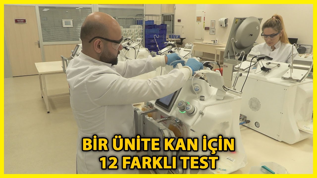 Bağışlanan Kanların Üçte Biri İstanbul'da Test Ediliyor