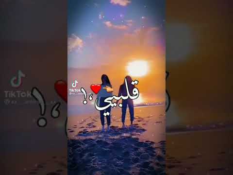 يا صاحبي يا صاحبي يا صاحبي لو يوم فارقت هيولع قلبي M