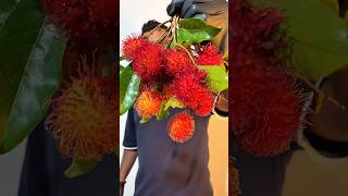 Candied Rambutan😍#shorts