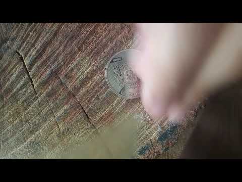 ქართული 1 ლარიანი