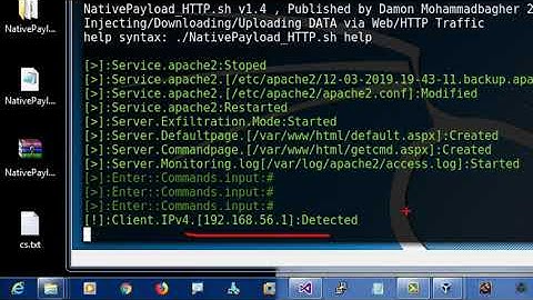 Chapter 12 - Video [2] Simple way for Data Exfiltration via HTTP