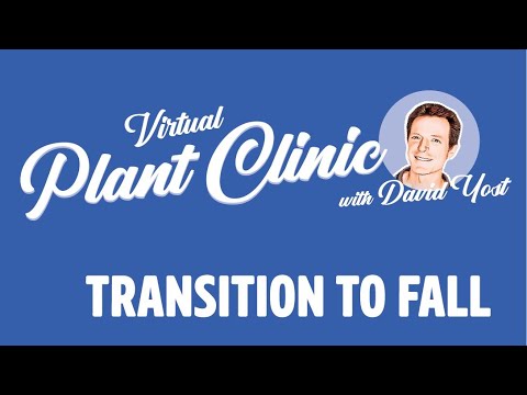 Virtual Plant Clinic: Transitioning to Fall