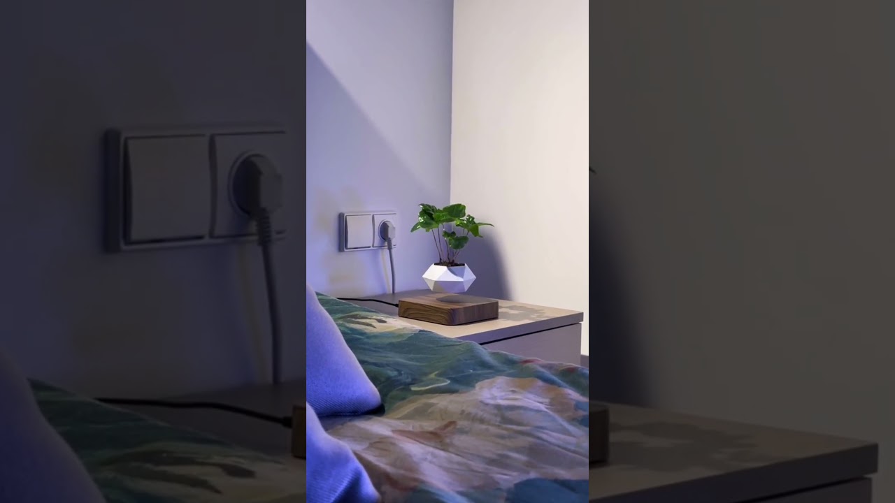 Levitating Plant Pot  