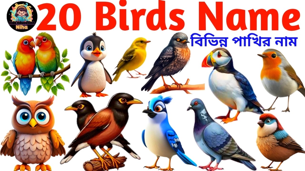 Birds Name for Kids | Learn 20 Bird Names in English with Pictures | Toddler Vocabulary Video