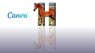 3D Show effect of Horse with Canva screenshot 1