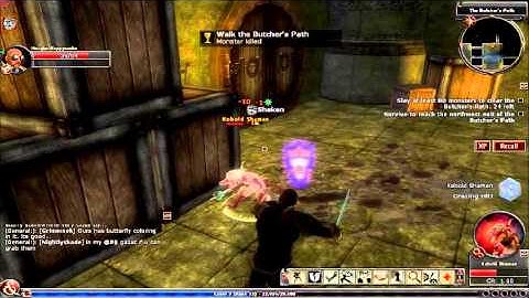 Dungeons and Dragons Online (Butchers Path)