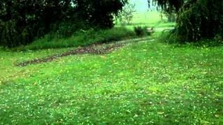 Granizada en Salazar!