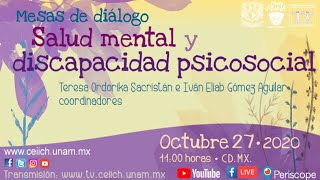 Salud Mental Y Discapacidad Psicosocial 3