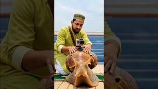 Snail Explores A Secret Magical Underwater World