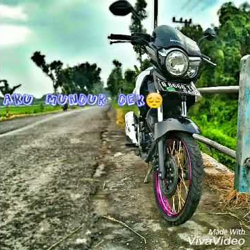 Story wa kapten oleng TIGER std