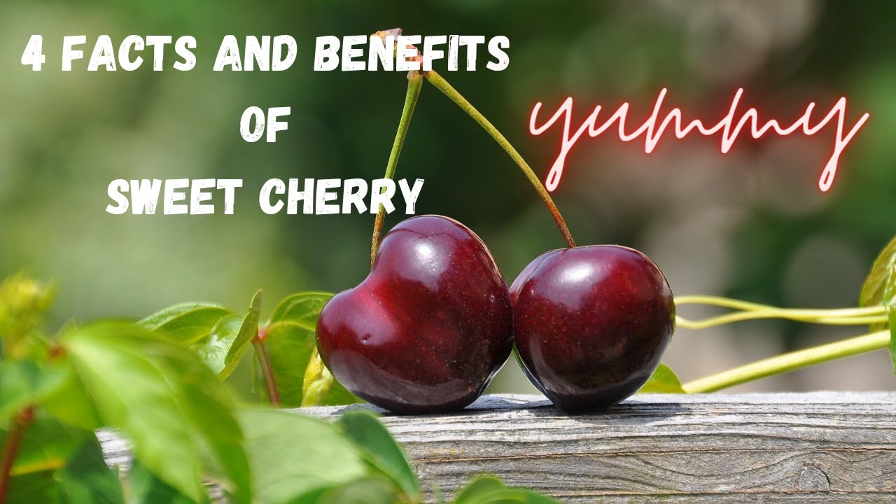 Cherry Bliss: Unveiling the Health Secrets of Sweet Cherries