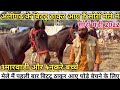 सोरों मेले में अलीगढ़ के बिट्टू ठाकुर आए हैं पहली बार घोड़ा बेचने के लिए ! (8057294387)