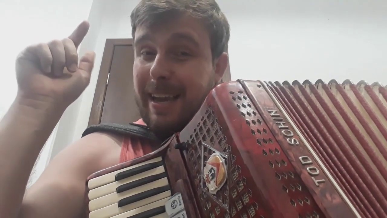 Cadela Baia Video Aula